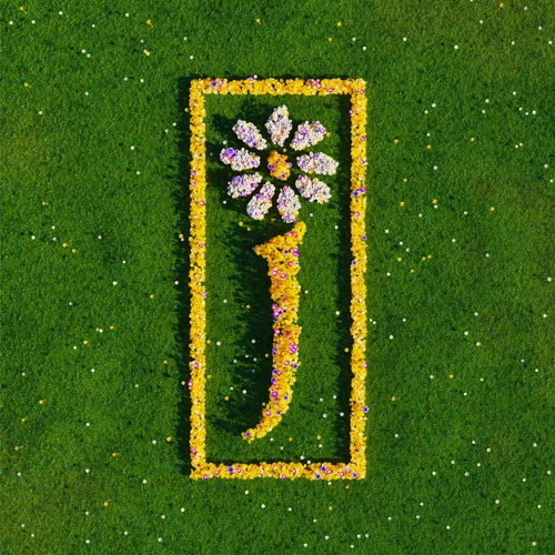 Hallelujah Anyhow -  - James